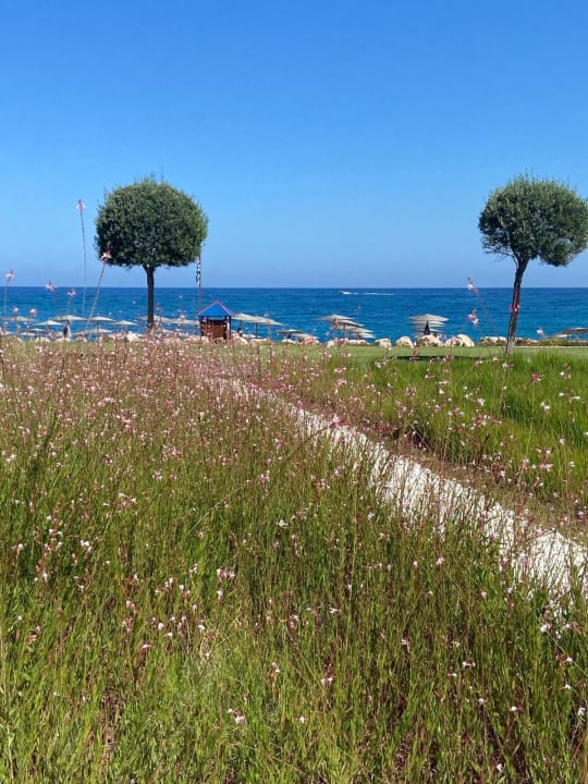 Gartenanlage Elysium Resort & Spa Hotel