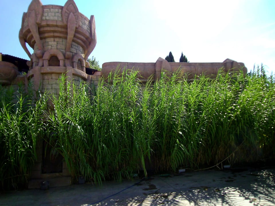 Aquapark Royal Park Hotel & Aqua park