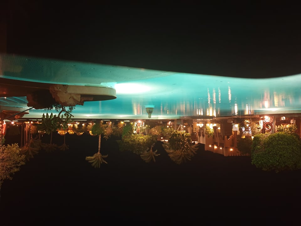 Pool Makadi Spa - Adults only