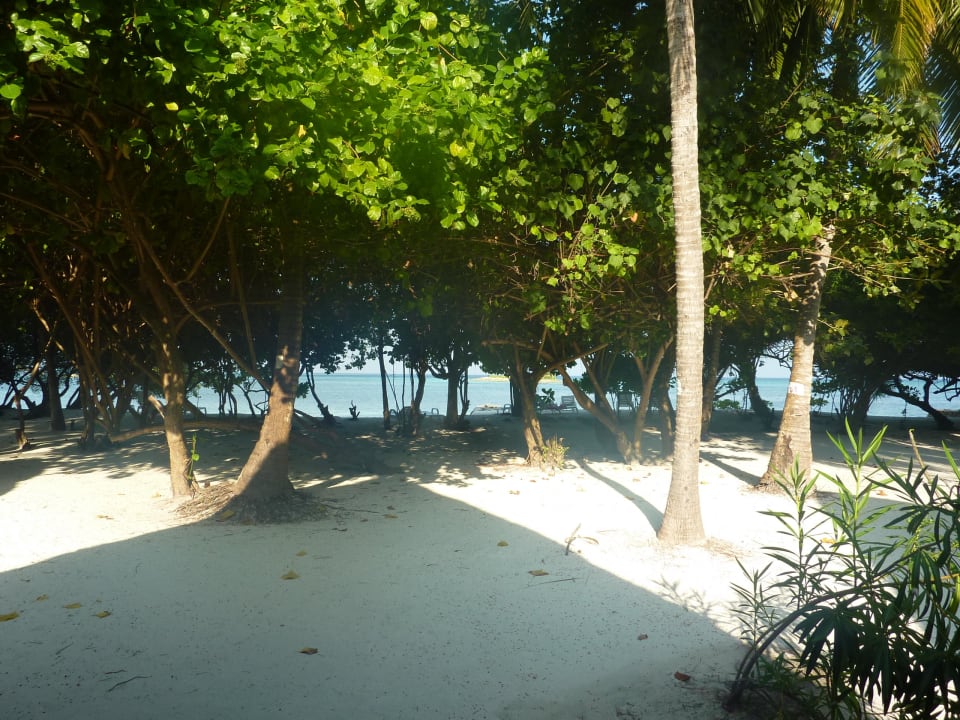 Blick von der Terrasse Adaaran Select Hudhuran Fushi - Premium All Inclusive