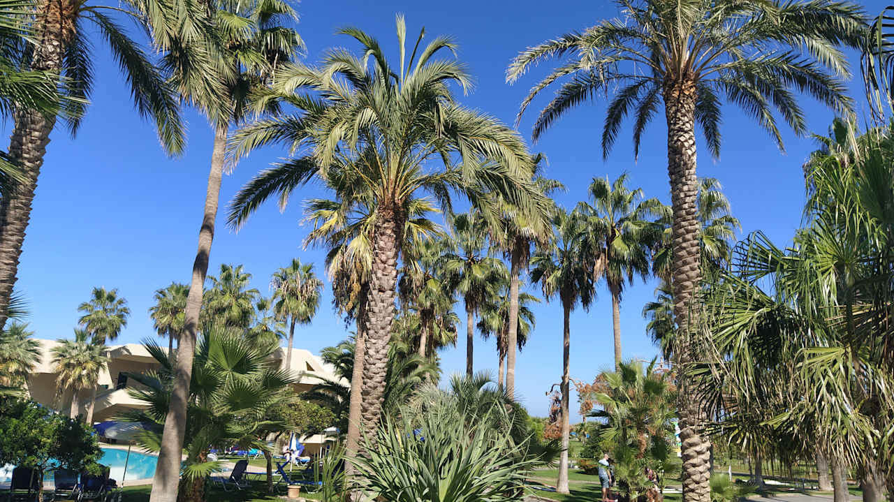 Gartenanlage Calimera Sirens Beach