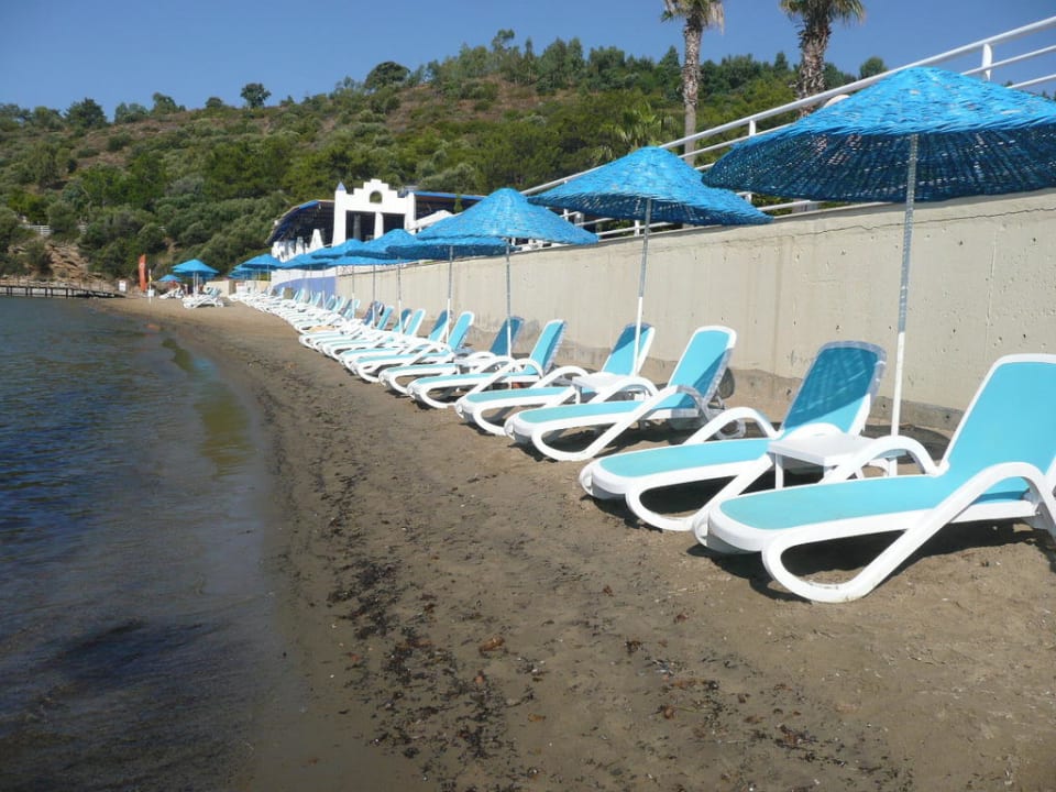 Teilweise leider nur noch eine Reihe Liegen Paloma Pasha