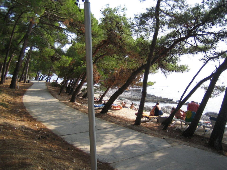 Strandprommenade Family Hotel Vespera