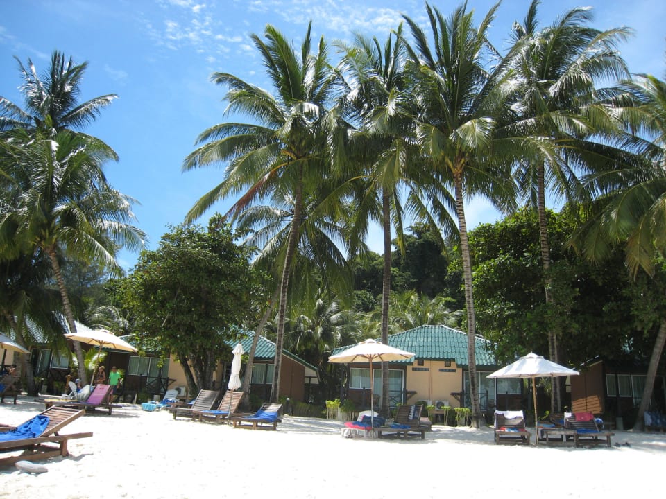 Die reservierten Liegen Perhentian Tuna Bay Island Resort