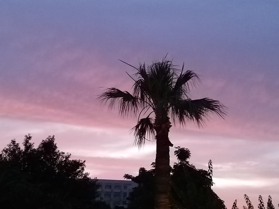 Ausblick Crystal Springs Beach Hotel