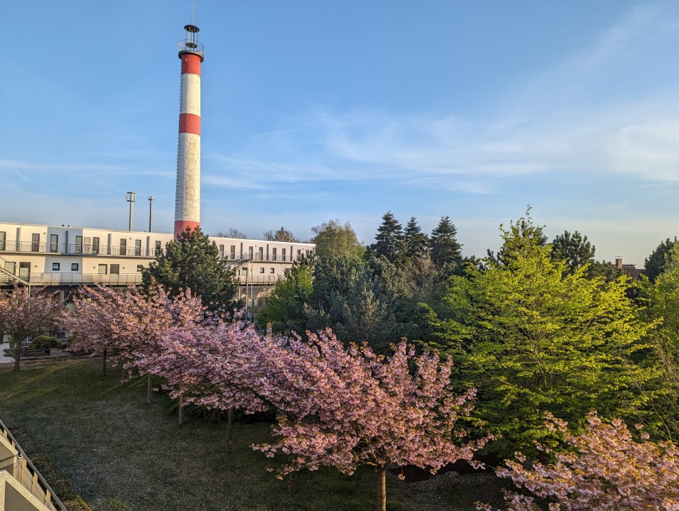 Ausblick Hotel Vier Jahreszeiten Zingst