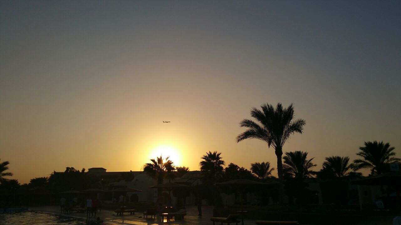 Außenansicht Desert Rose