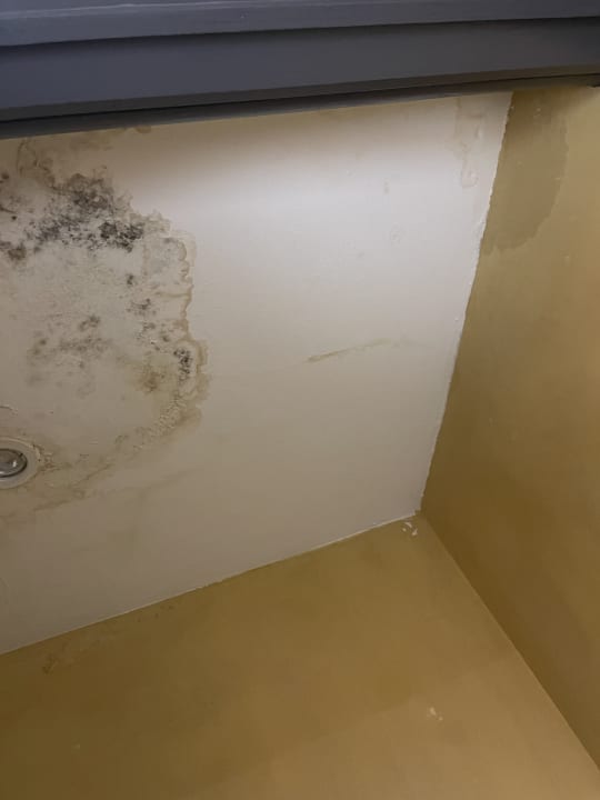 Zimmer Hotel Eden Star