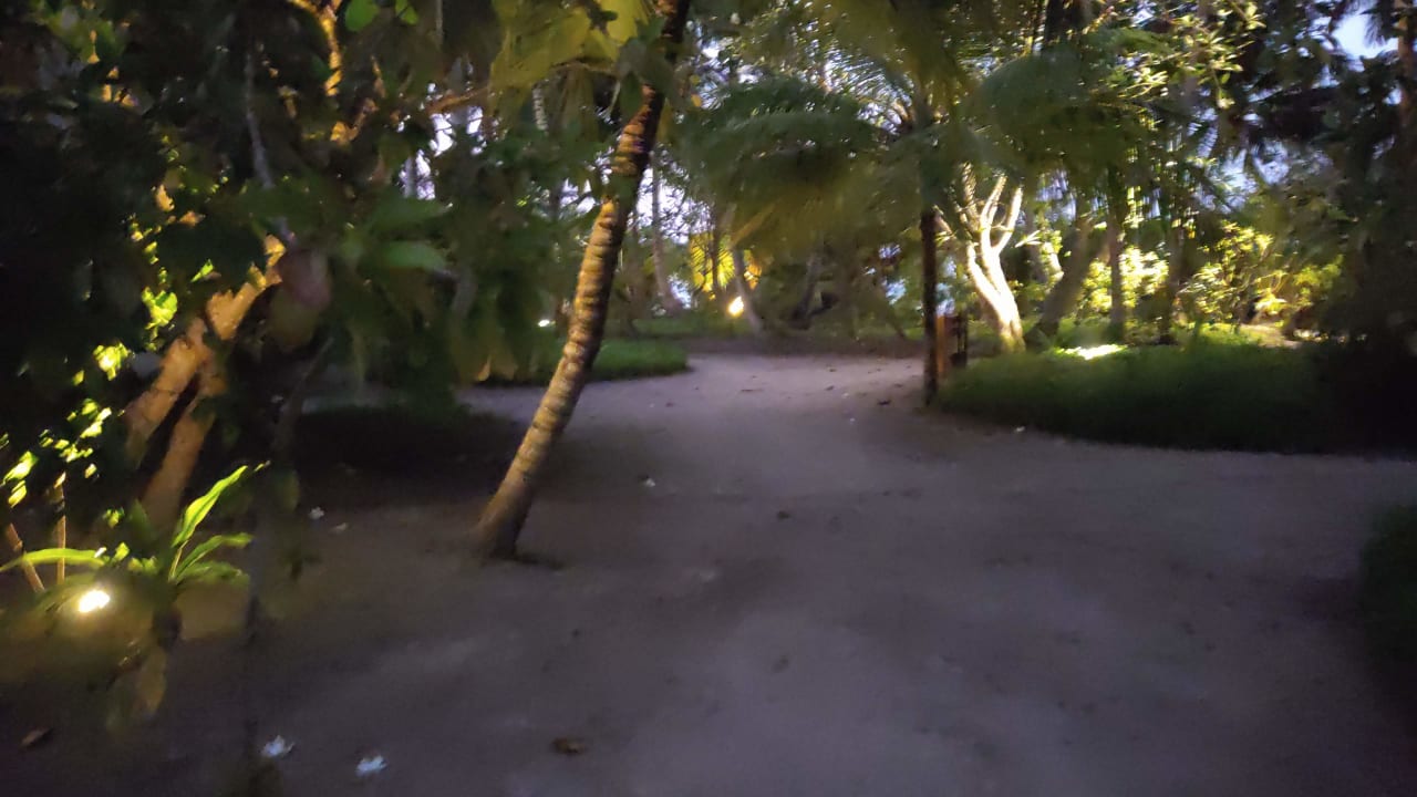 Gartenanlage Kuramathi Maldives