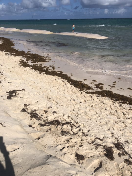 Strand Ocean Blue & Sand