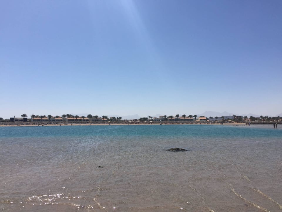 Bei Ebbe im Meer und den Hotel-Stand fotografiert Pickalbatros Dana Beach Resort - Hurghada