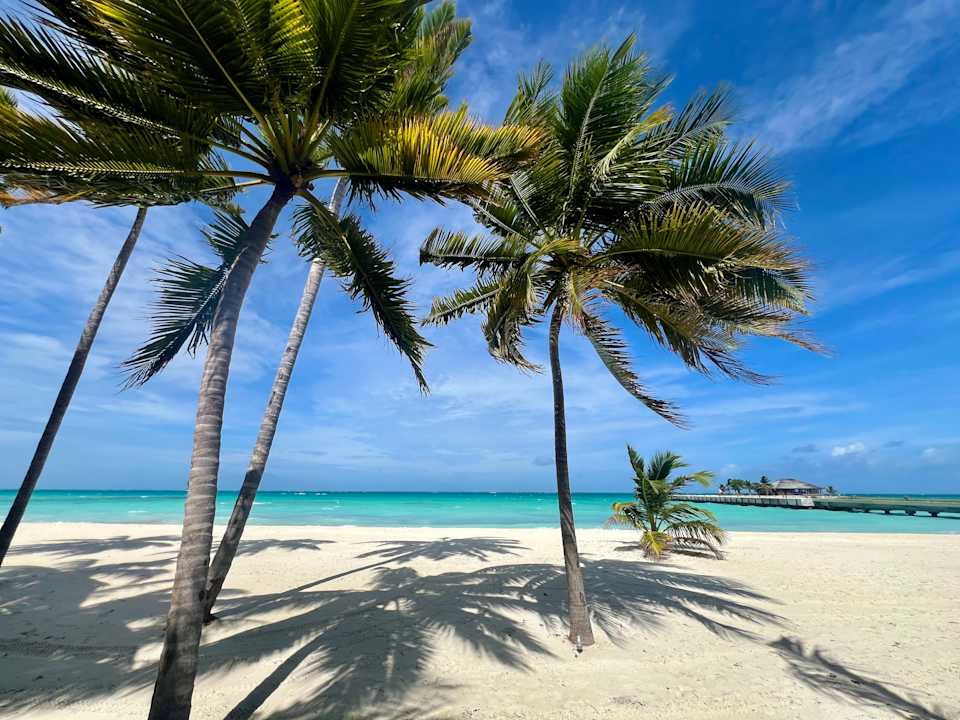 Strand Jawakara Islands Maldives