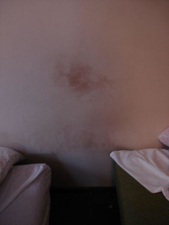 Sciany c.d Pension Poczta Caffe