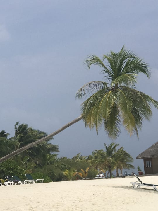 Strand Meeru Maldives Resort Island