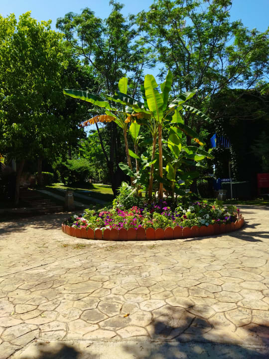 Gartenanlage Belconti Resort Hotel