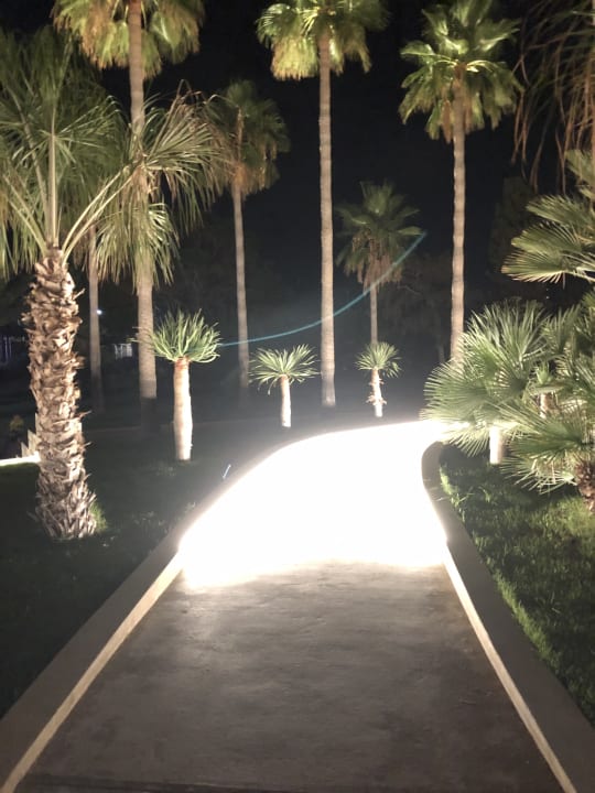 Gartenanlage Calimera Sirens Beach