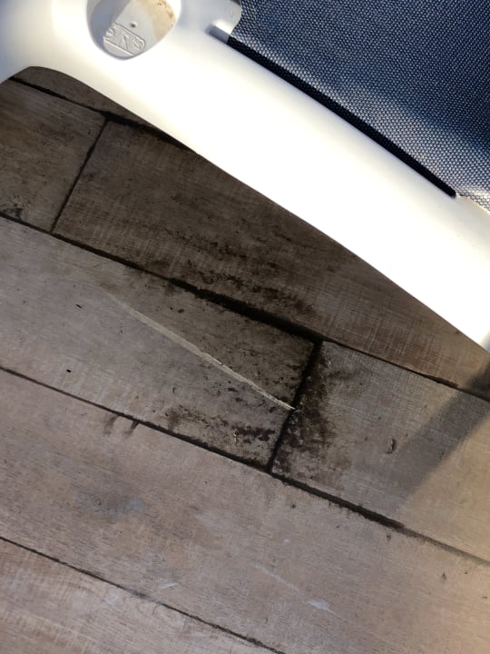 Pool Alcudia Garden Aparthotel