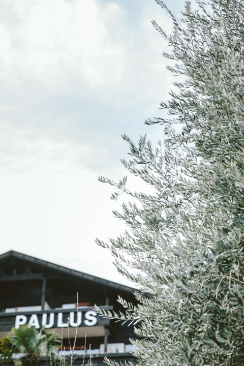 Außenansicht Paulus Apartments