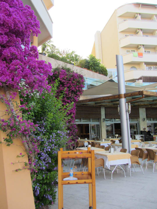 Schönen Blumen Alaiye Resort & Spa