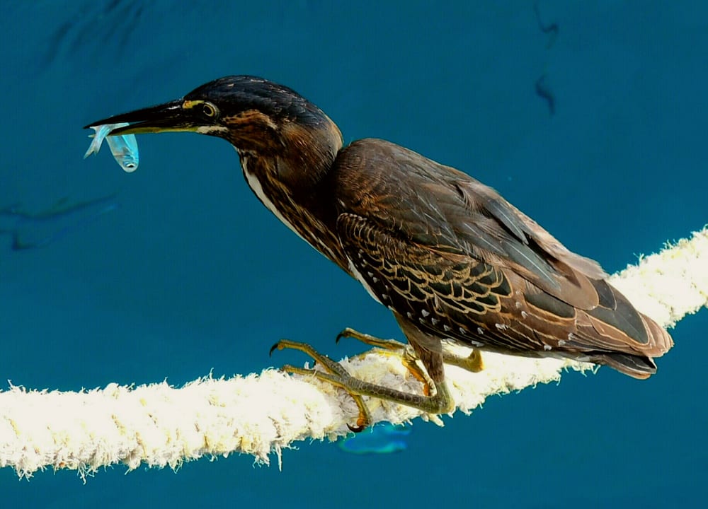 Sonstiges Steigenberger Aqua Magic