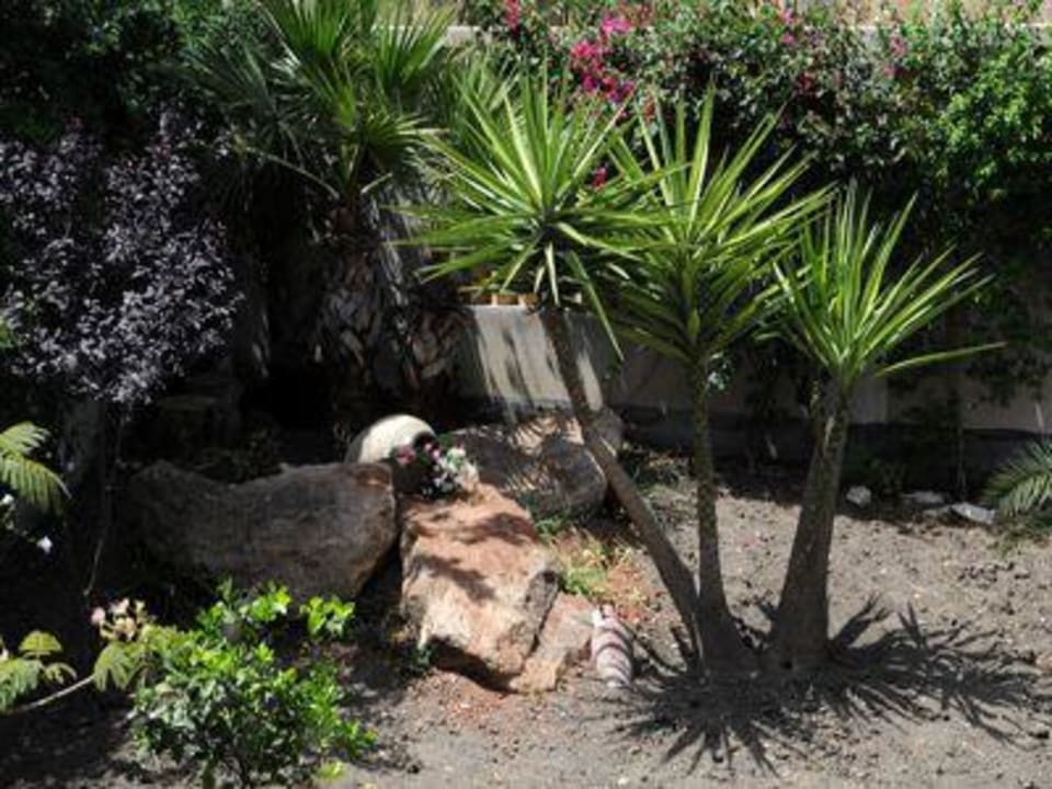 Giardino B&B Il Mandorlo Sciacca