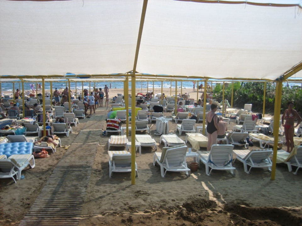 Der Strand! Hotel Orfeus Park