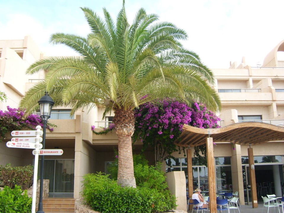 Hotelanlage SBH Hotel Taro Beach