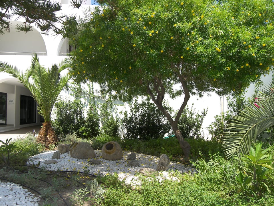 Überall alles gepflegt und schön gestaltet TUI BLUE Oceanis Beach and Spa Resort