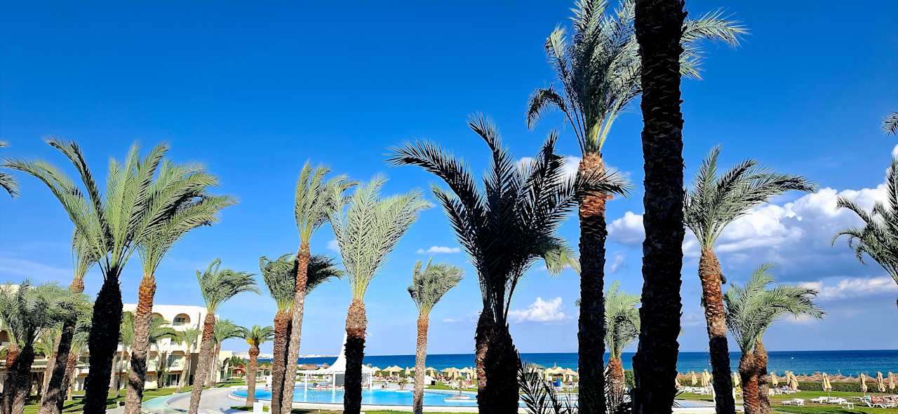 Ausblick Iberostar Waves Averroes