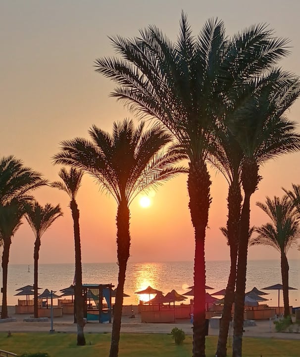 Ausblick Pickalbatros Palace Hotel-Port Ghalib