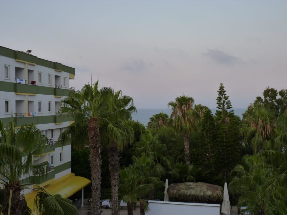 Meerblick  Botanik Hotel & Resort