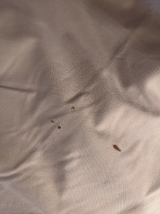 Zimmer Fletcher Hotel - Restaurant Wolfheze