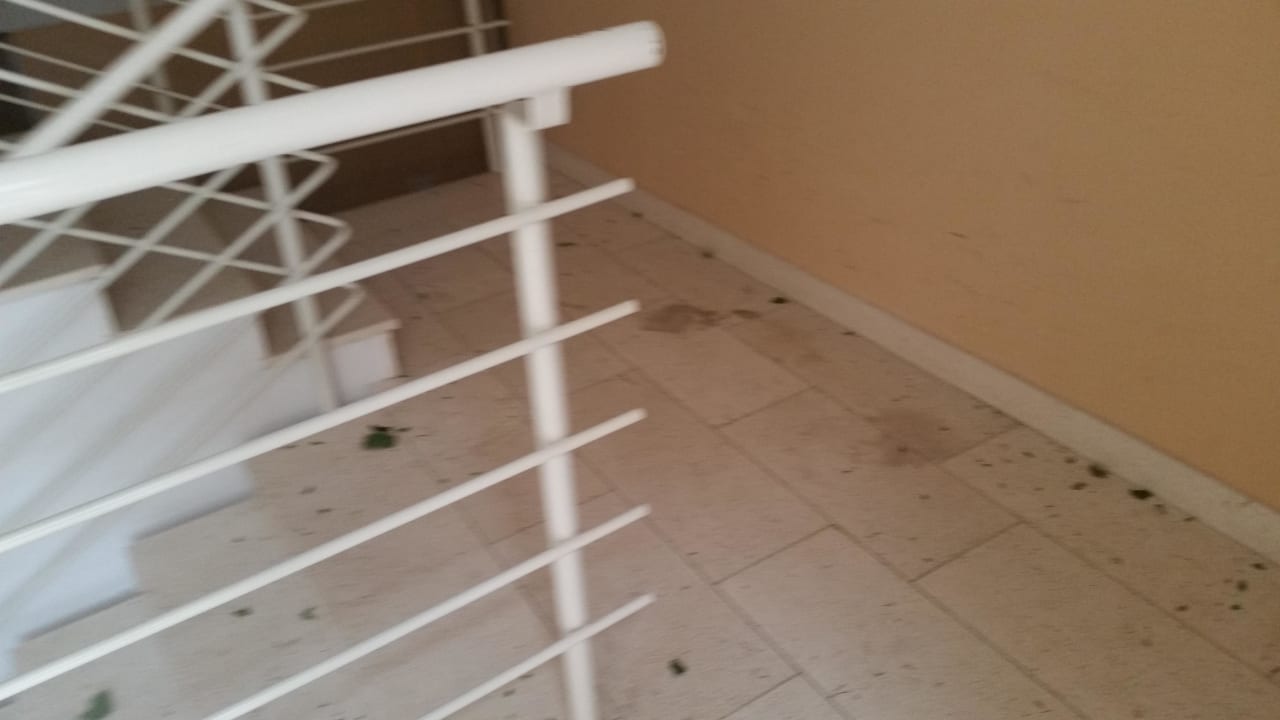 Koryto Wyndham Grand Novi Vinodolski Resort - The View & Family Apartments