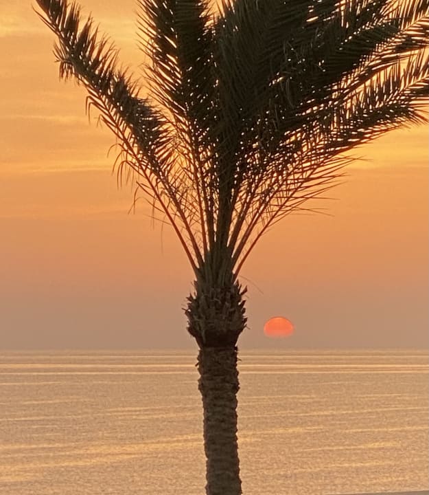 Ausblick Steigenberger Coraya Beach - Adults only