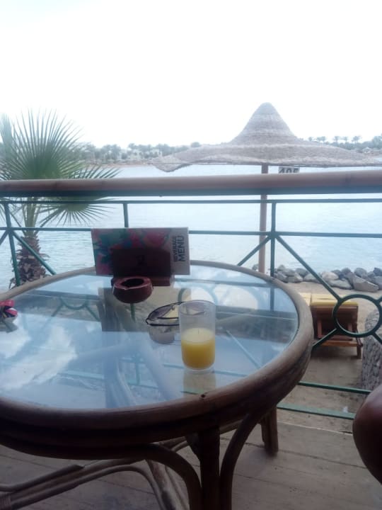 Strandbar mit Aussicht aufs Meer und Strandanlage. Desert Rose