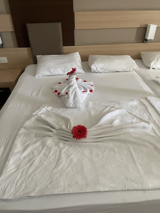 Zimmer Telatiye Resort