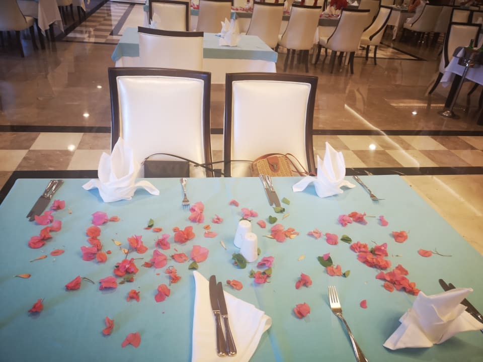 Gastro Royal Holiday Palace