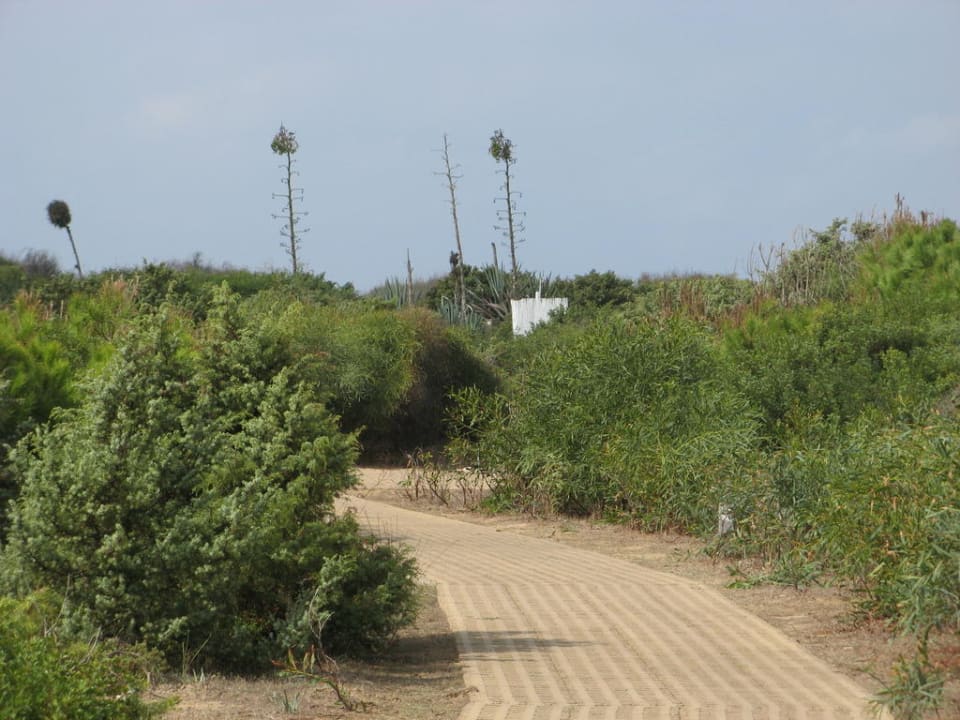 Golf Hotel Is Arenas, Sardinien Is Arenas Resort