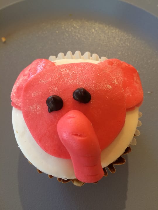 Gastro Ocean Coral & Turquesa by H10