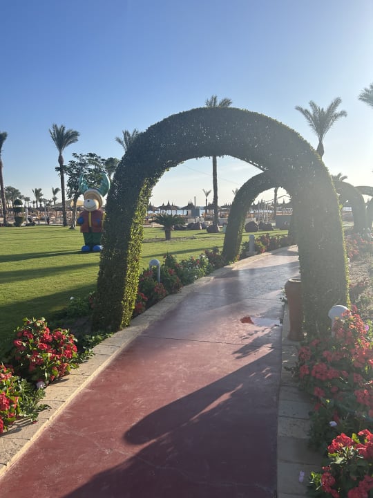 Gartenanlage Pickalbatros Palace Resort