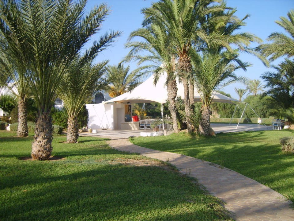 Restaurant Club Palm Azur