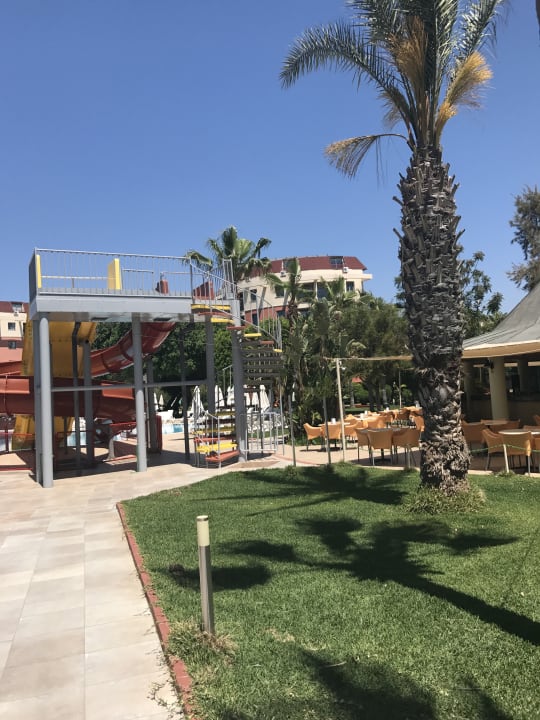 Gartenanlage Palmeras Beach Hotel