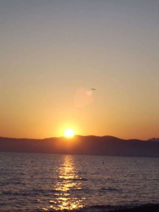 Flieger beim Sonnenuntergang an der Playa Hotel Cosmopolitan