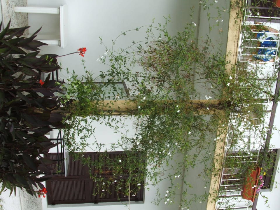 Front of the secondary block Hotel Fire Fly