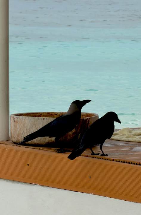 Sonstiges Dreamland The Unique Sea & Lake Resort / Spa