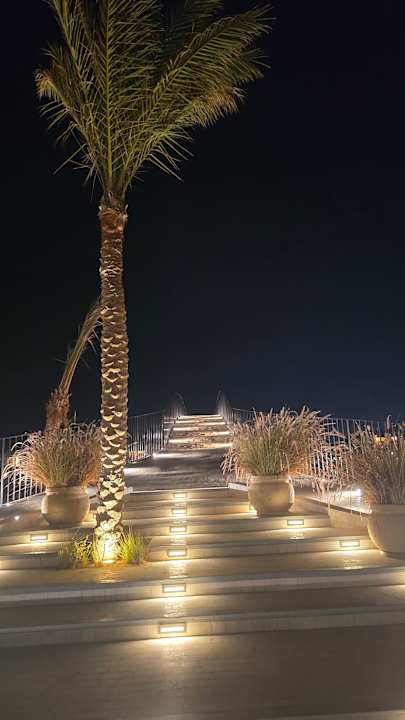 Außenansicht Desert Rose