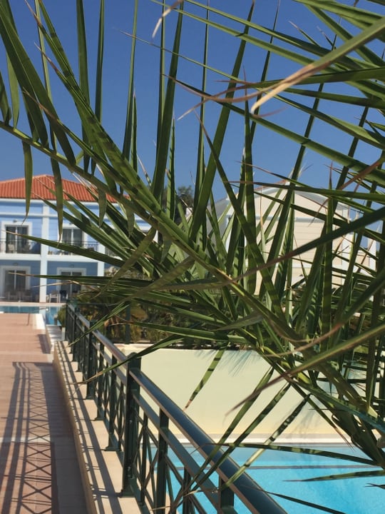 Außenansicht Porto Bello Royal