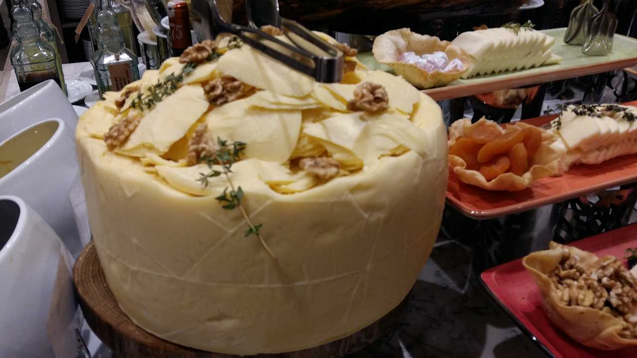 Gastro Acanthus Cennet Barut Collection