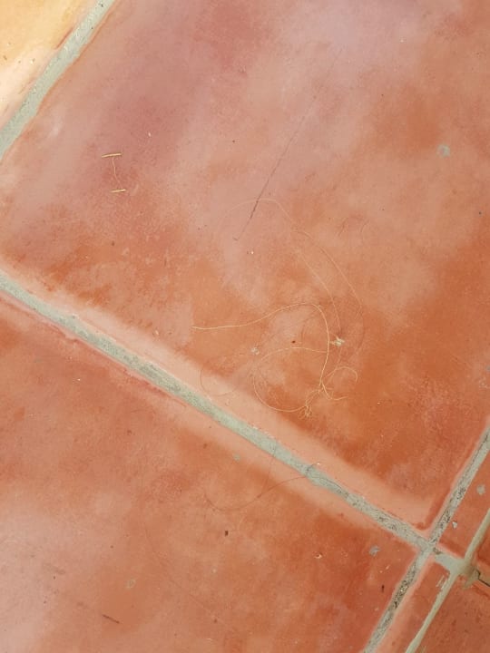 Sonstiges Three Corners Sea Beach Resort