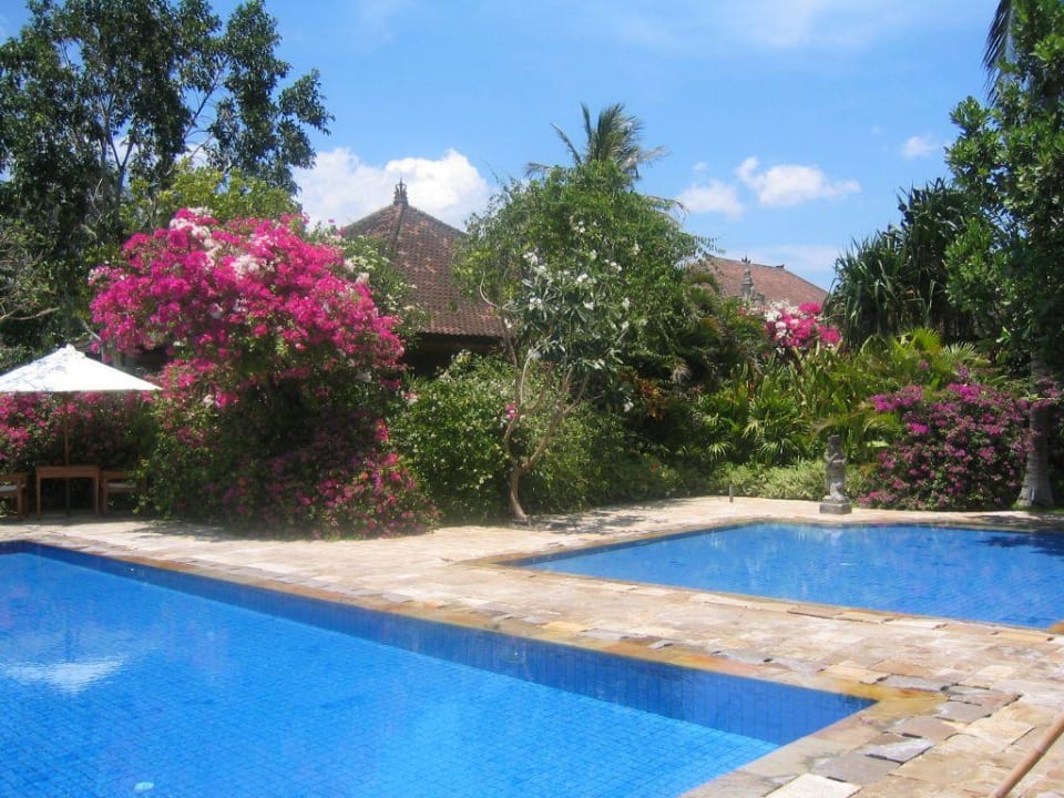 Pool  Hotel Matahari Beach Resort & Spa